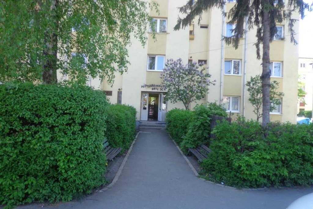 Aldine Comfort : Entire Apartment With 2 Bedrooms Sibiu Eksteriør bilde